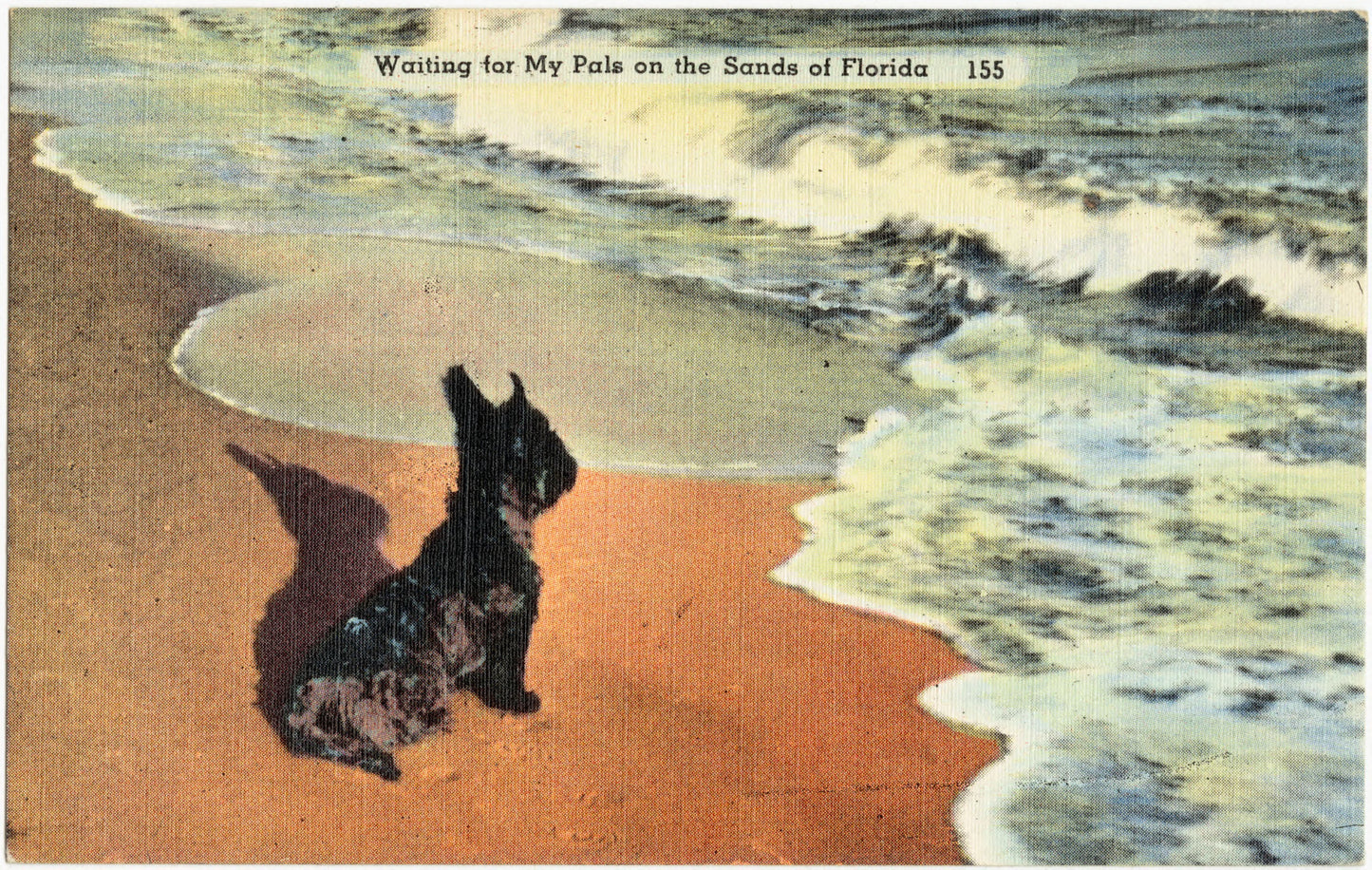 Waiting for my pals on the sands of Florida (Copy)