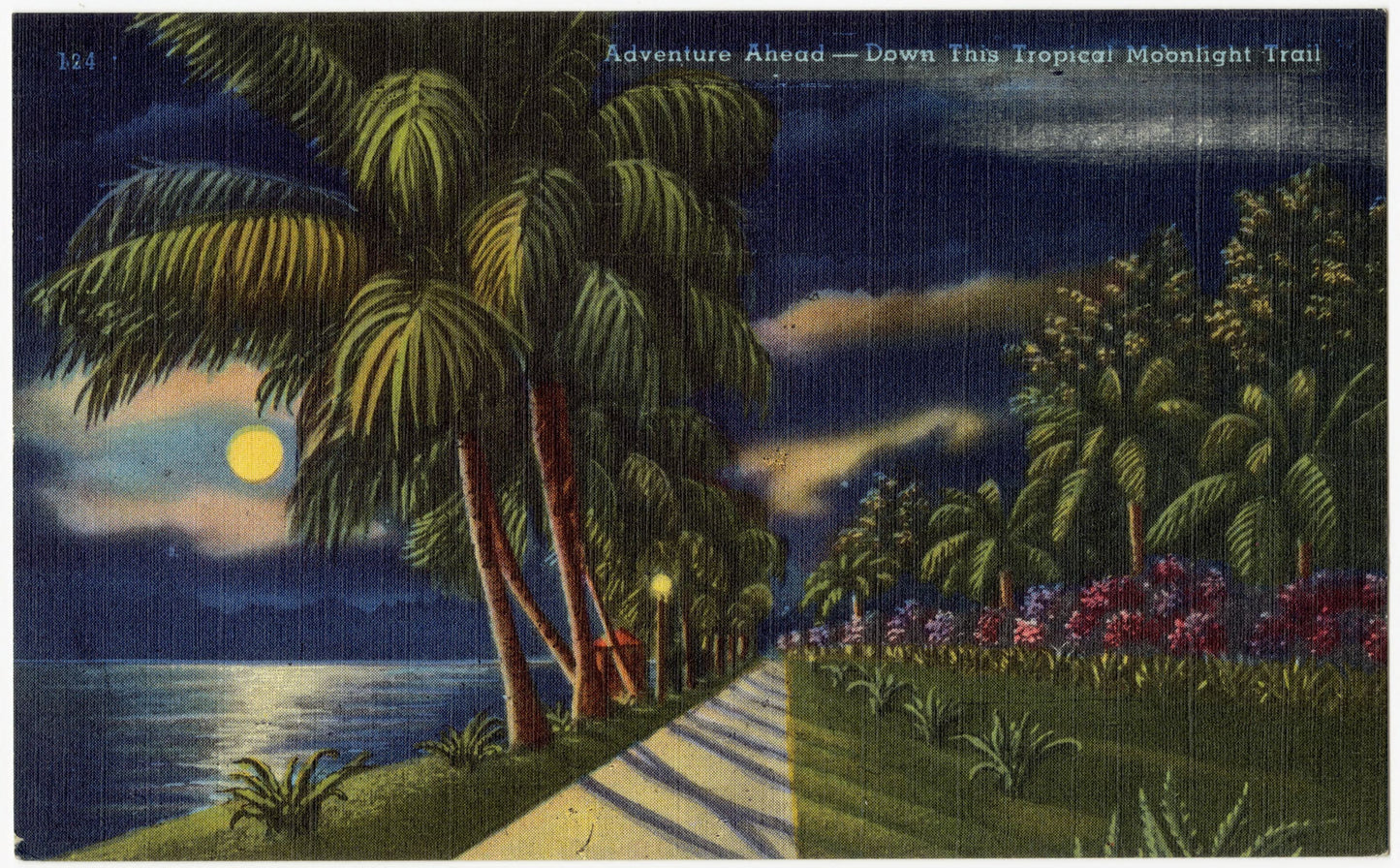 Advenutre Ahead--Down this tropical moonlight trail