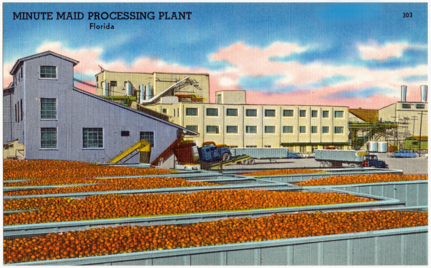 Minute Maid Plant