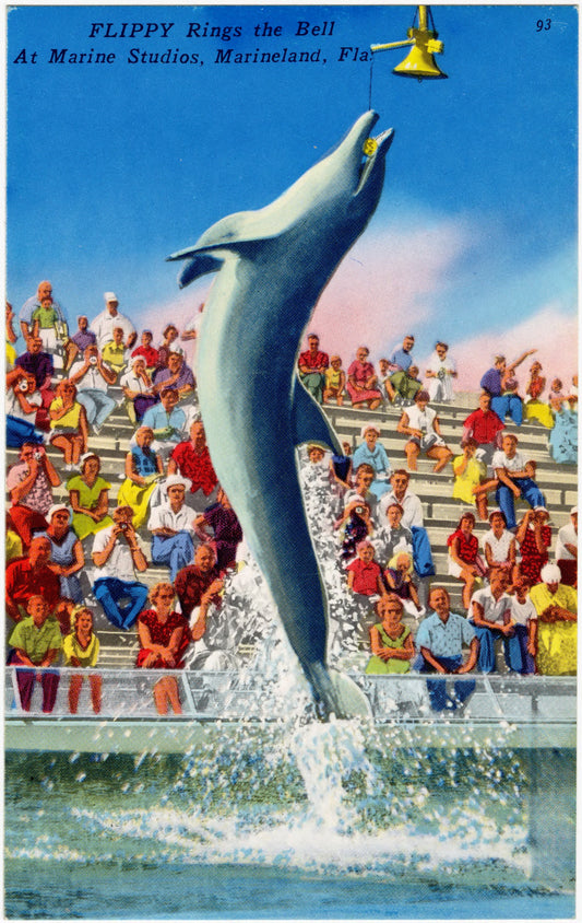 Flippy Rings the Bell (Marineland)