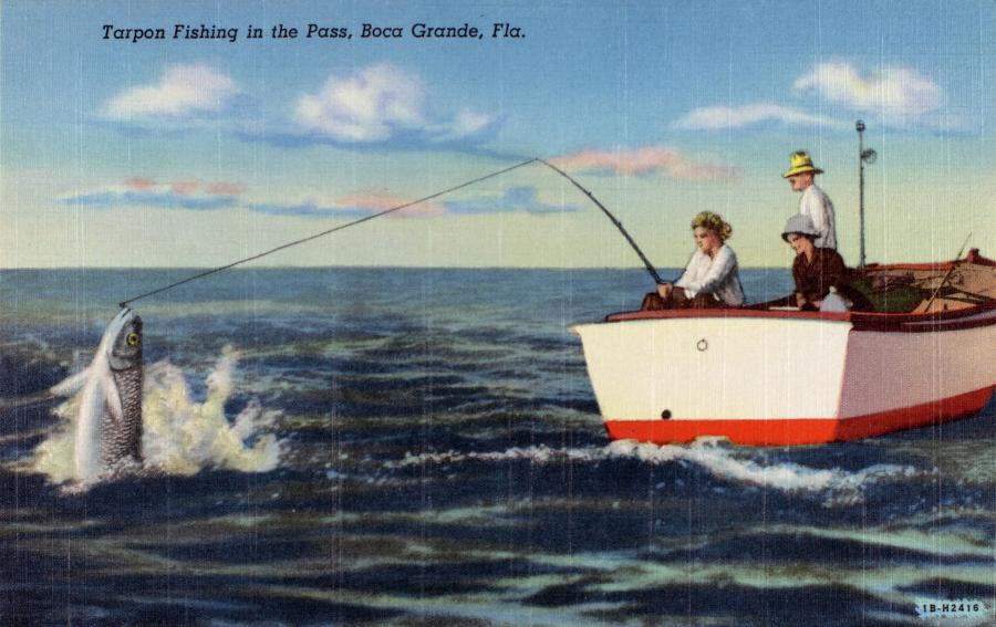 Tarpon Fishing--Boca Grande