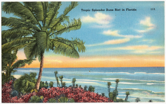 Tropical Splendor Runs Riot in Florida
