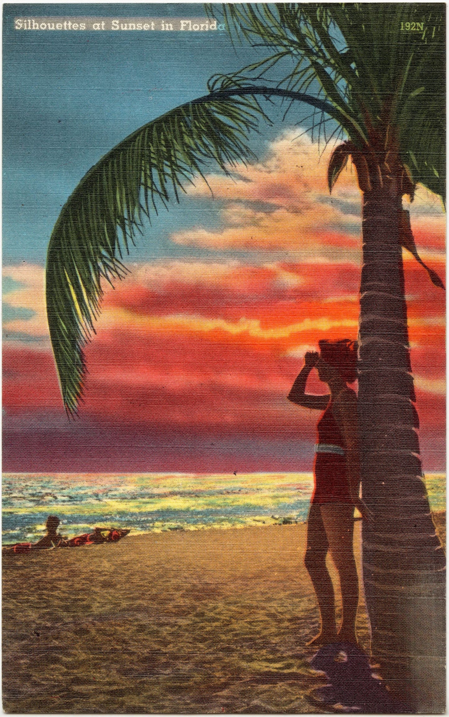 Silhouettes at Sunset