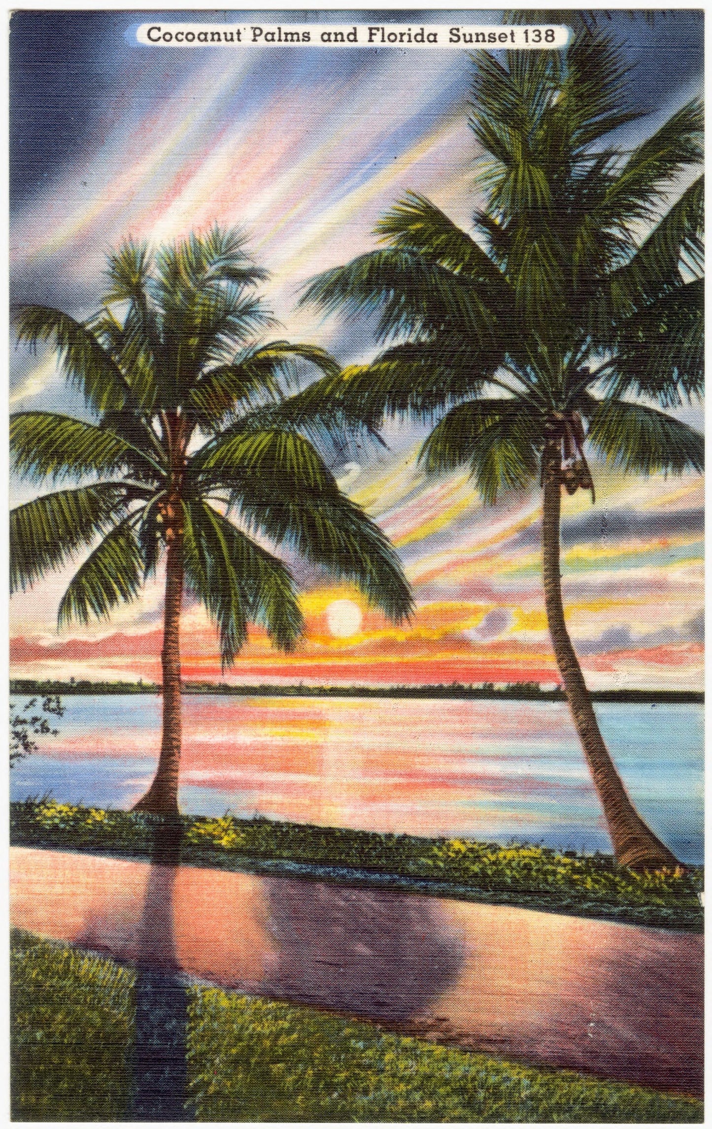 Cocoanut Palms and Sunset