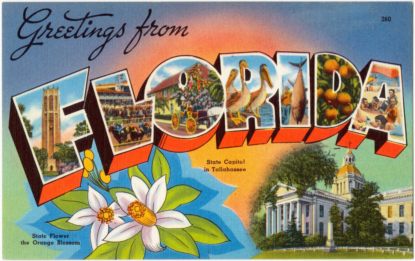 Greetings From Florida