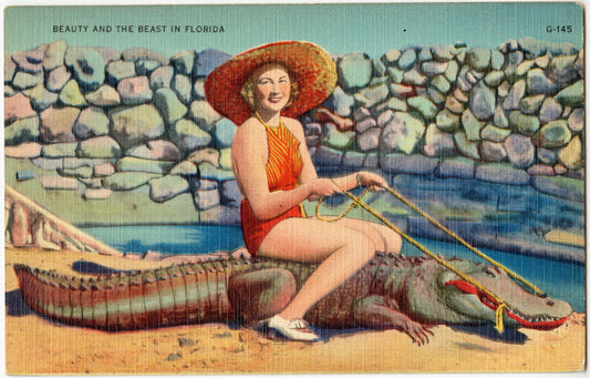 Beauty and the Beast in Florida