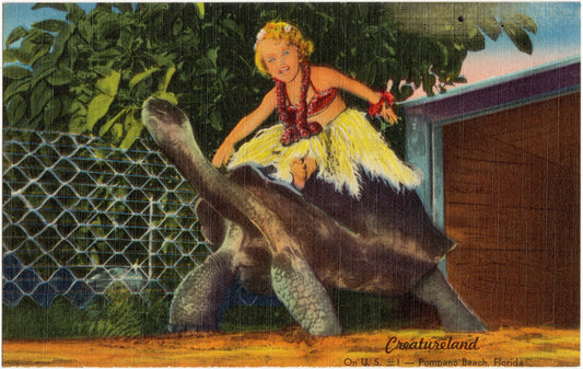 Creatureland, Pompano Beach