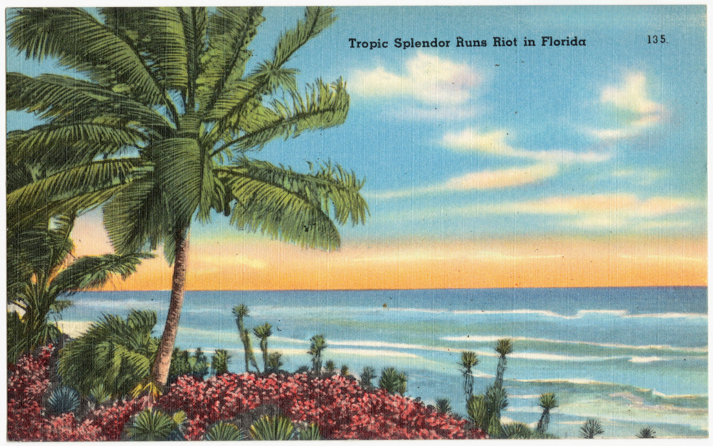 Tropical Splendor Runs Riot in Florida