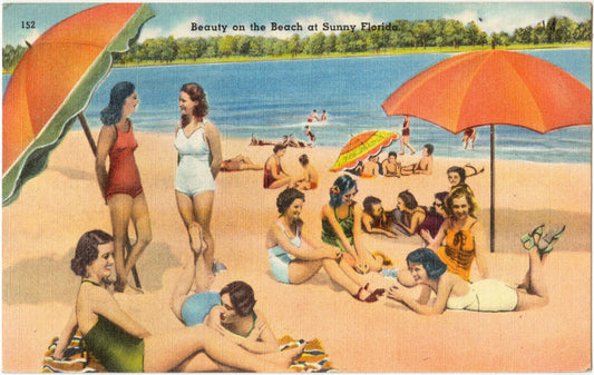 Beauty on the Beach at Sunny Florida